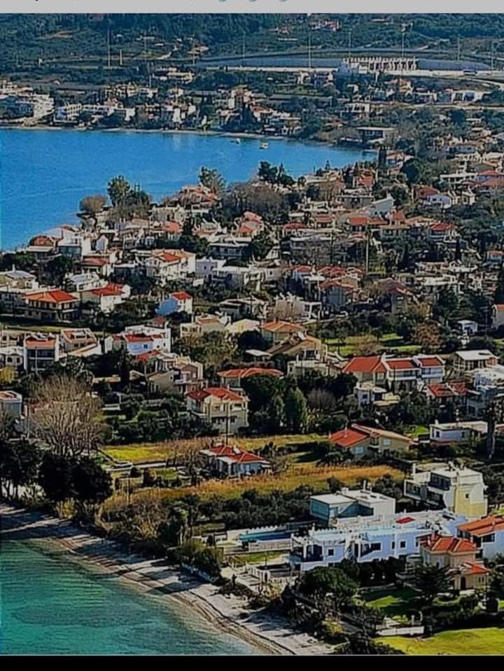 Holiday And Business Home Agios Vasilios  Exterior foto